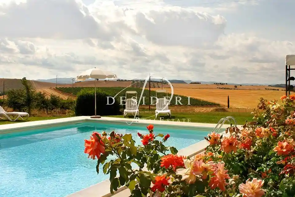 Rustico - Casale in vendita a Scansano