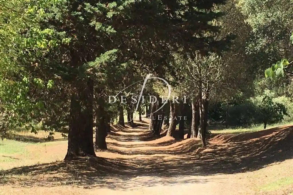 Rustico - Casale in vendita a Magliano in Toscana