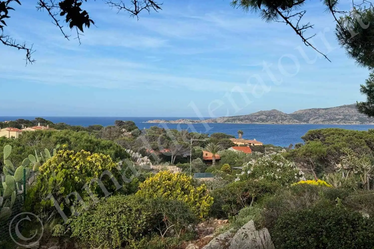 Villa in affitto a La Maddalena