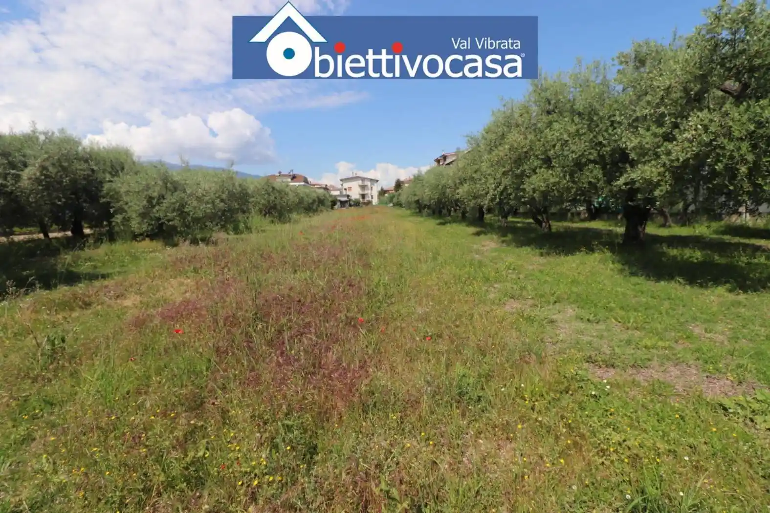 Villa plurifamiliare via Giuseppe Verdi 121, Centro, Sant'Egidio alla Vibrata - foto 4