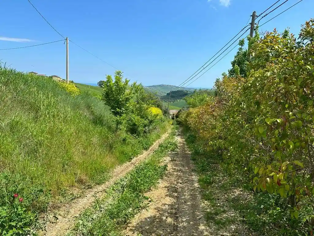 Casale Contrada Cagno 20, Atri - foto 2