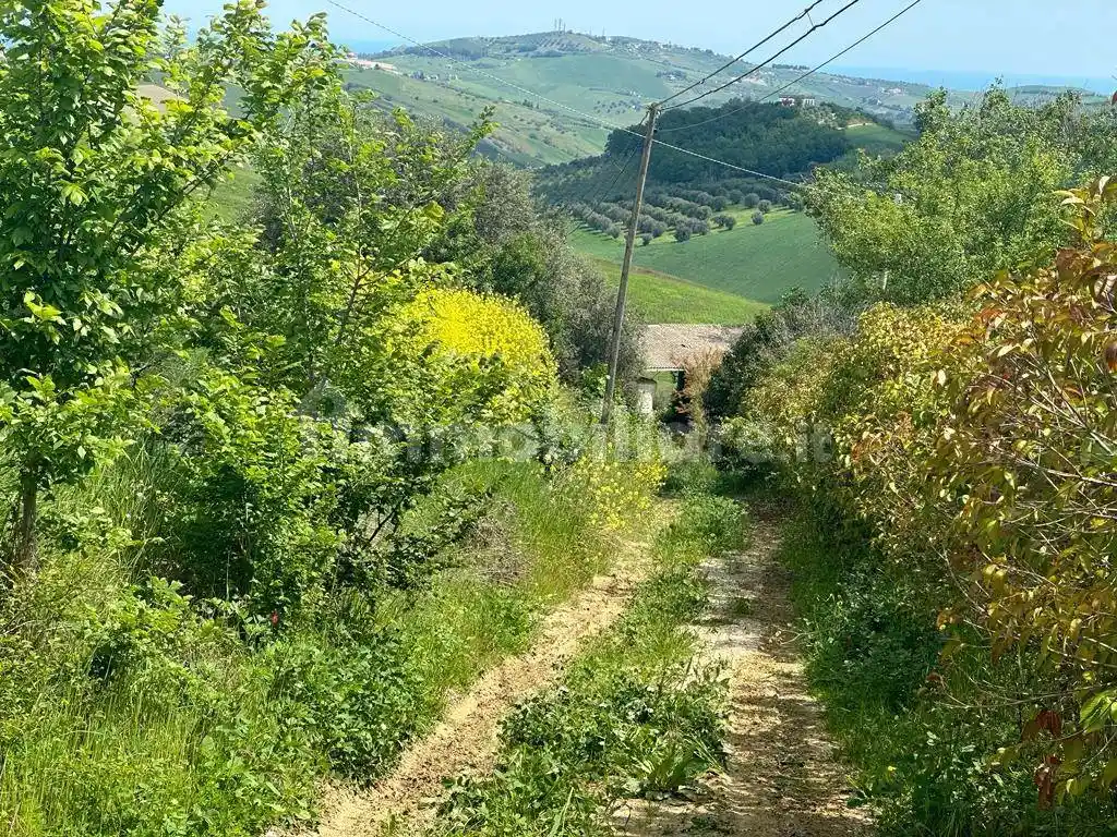 Casale Contrada Cagno 20, Atri - foto 3