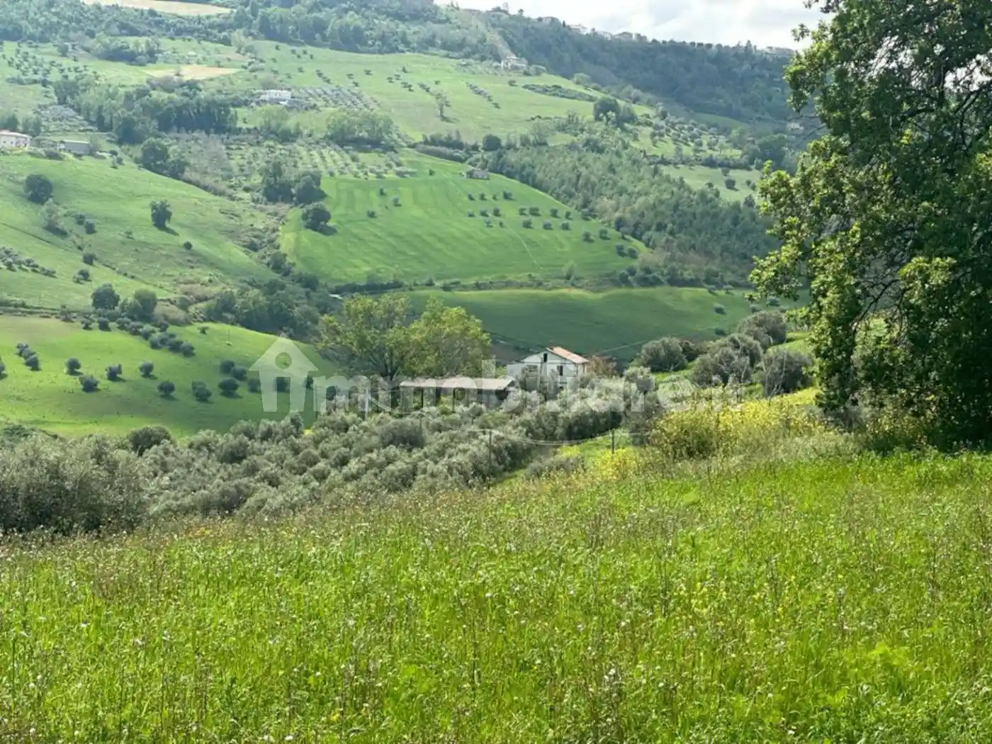 Casale Contrada Cagno 20, Atri - foto 5