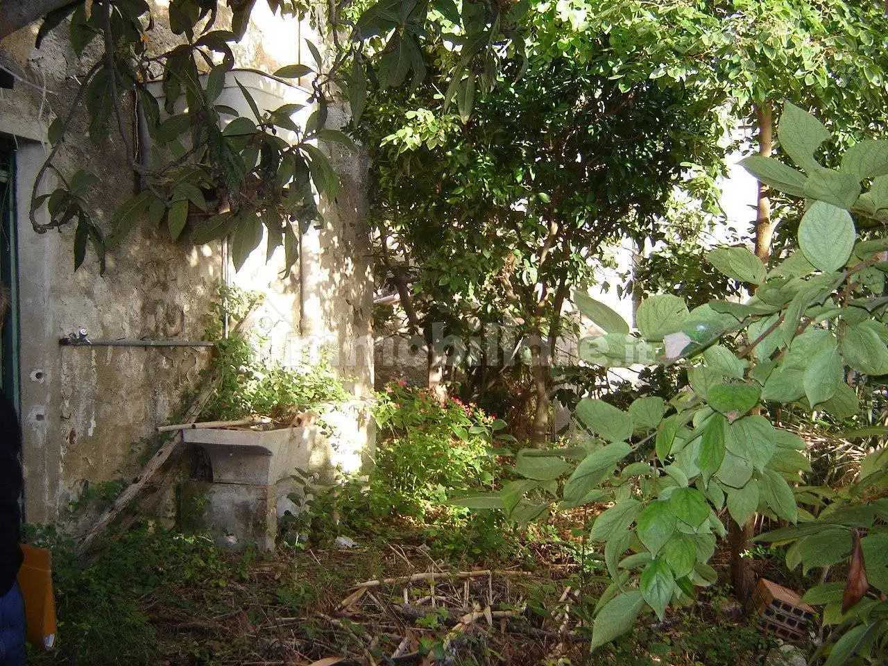 Terratetto plurifamiliare via Speranza 1, Centro, Blufi - foto 4