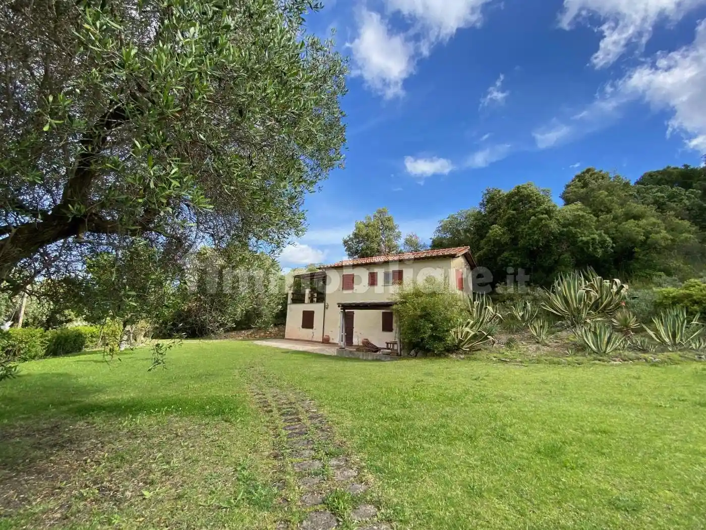 Rustico - Casale in affitto a Orbetello