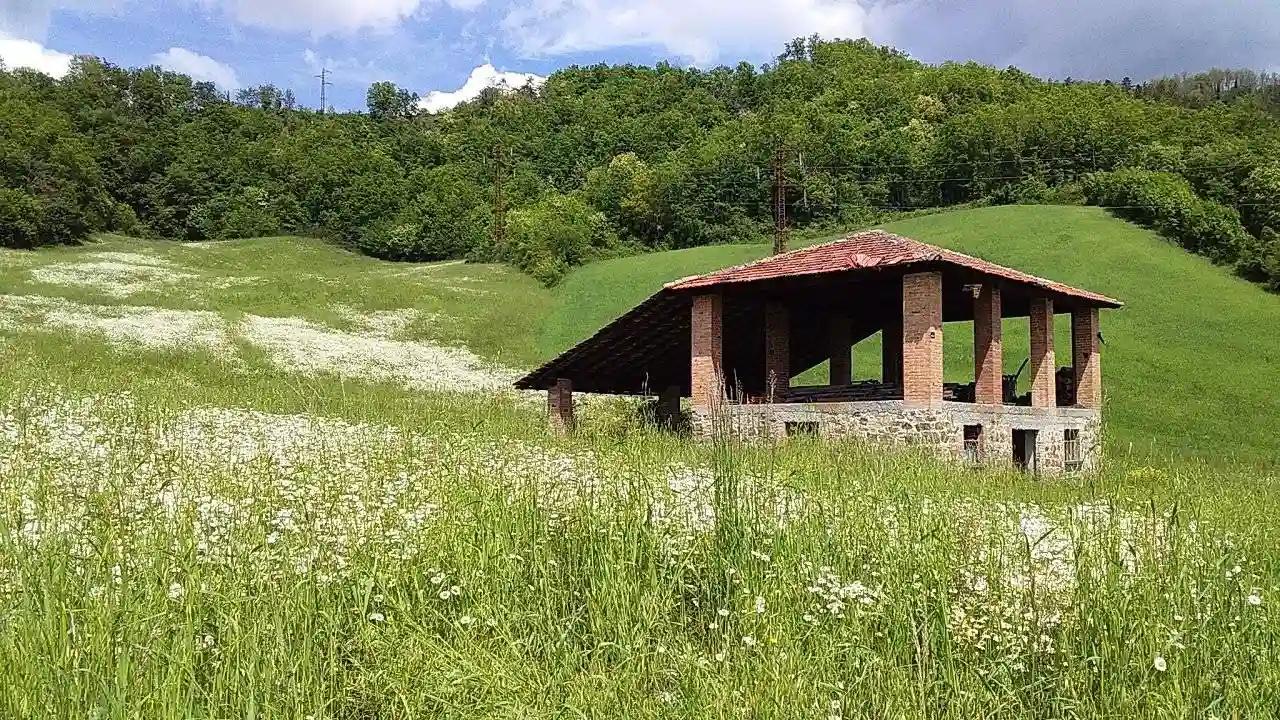 Rustico - Casale - foto 3