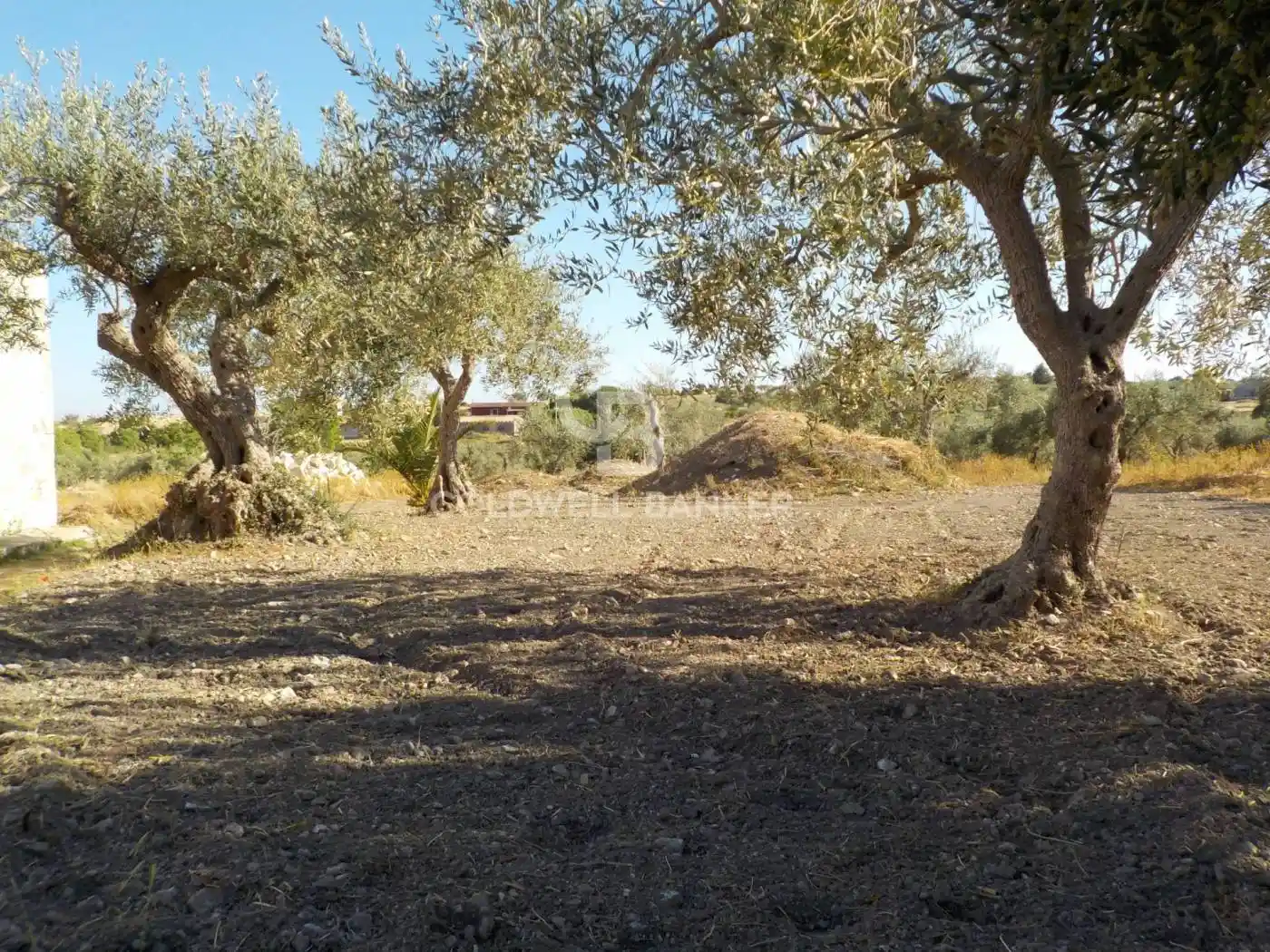 Terratetto unifamiliare via Calanchi Favarotta 12, Saitta, Modica - foto 3