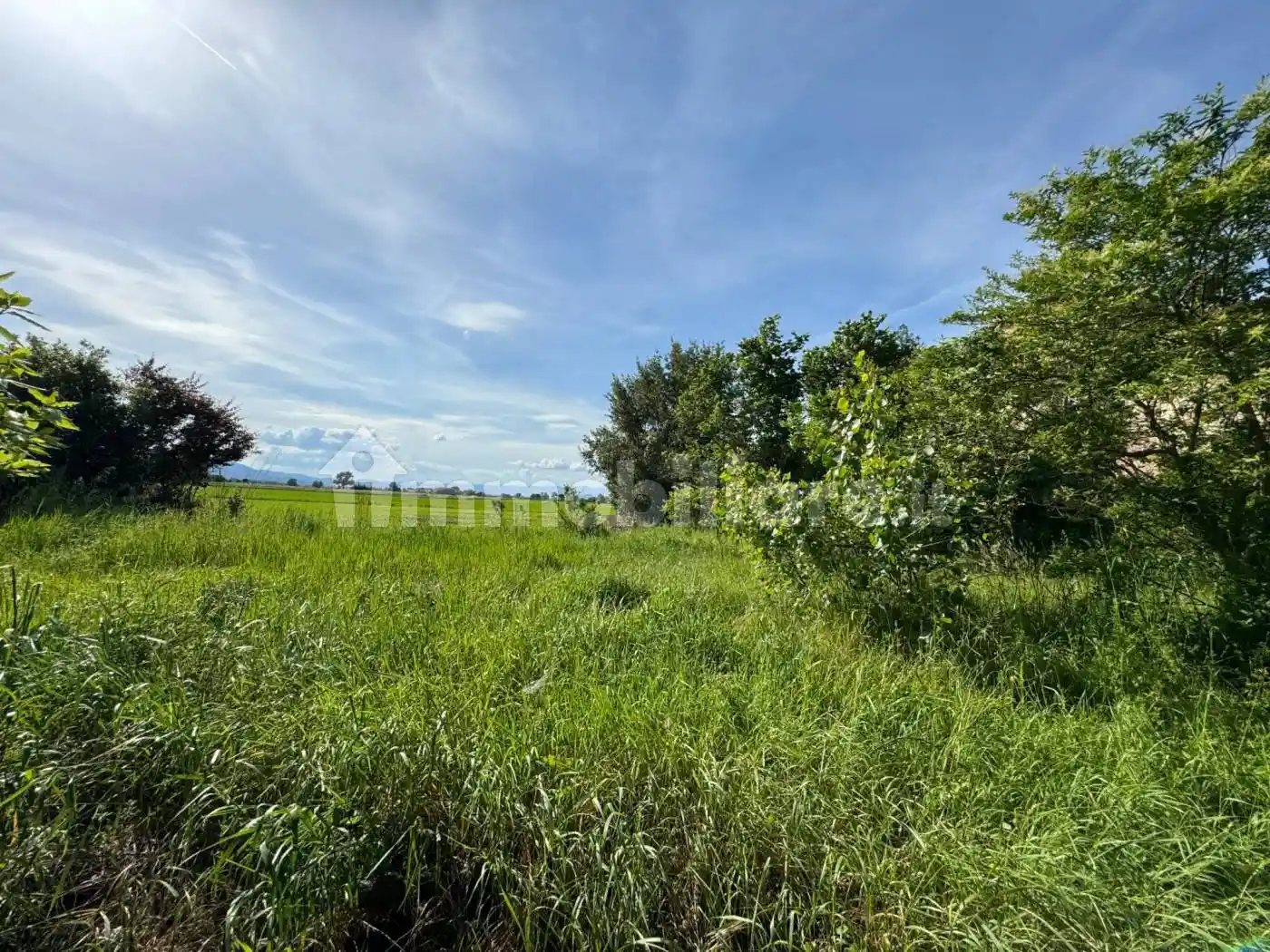 Casale via del Leone, Castelnuovo, Prato - foto 3