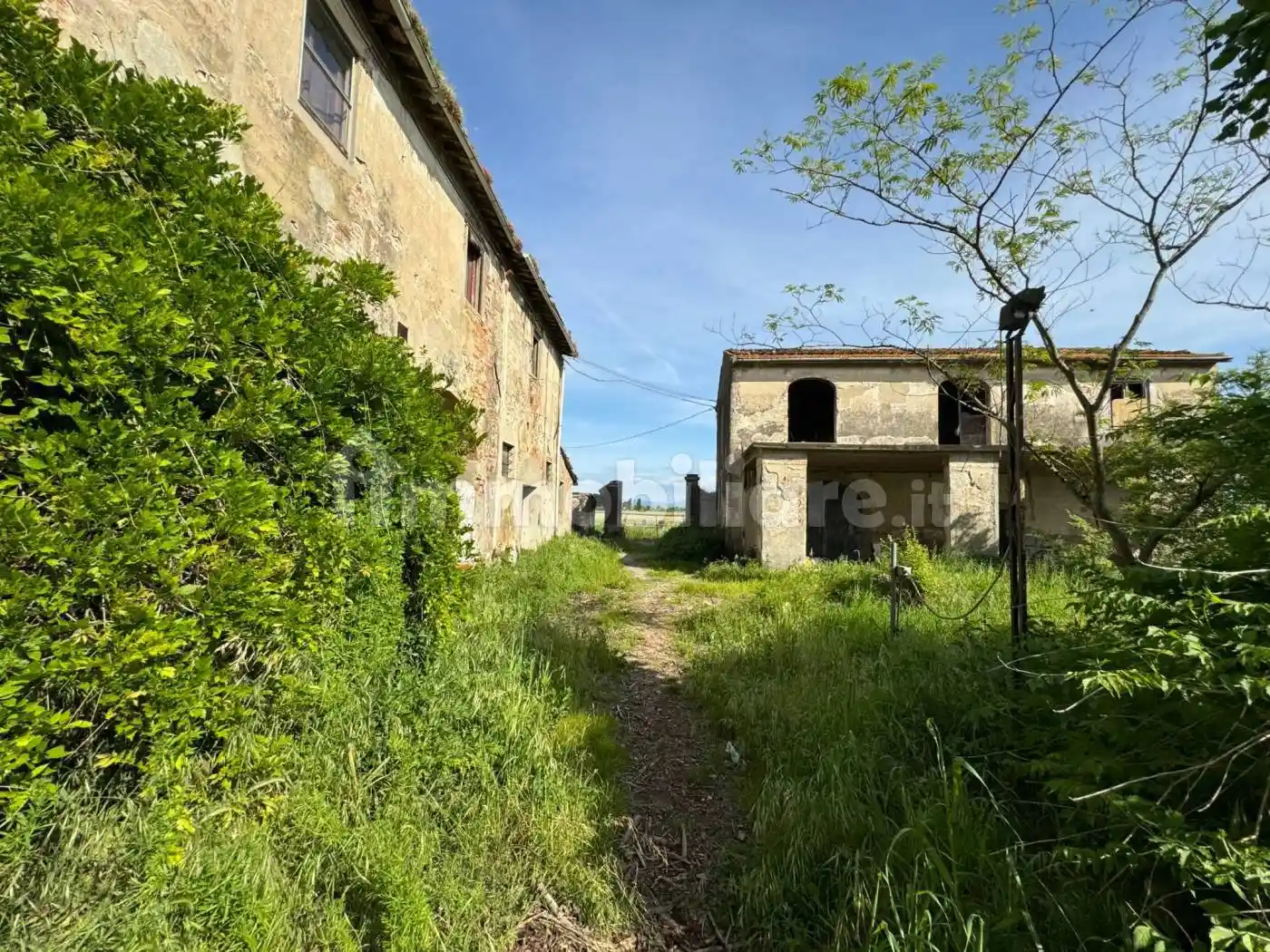 Casale via del Leone, Castelnuovo, Prato - foto 5