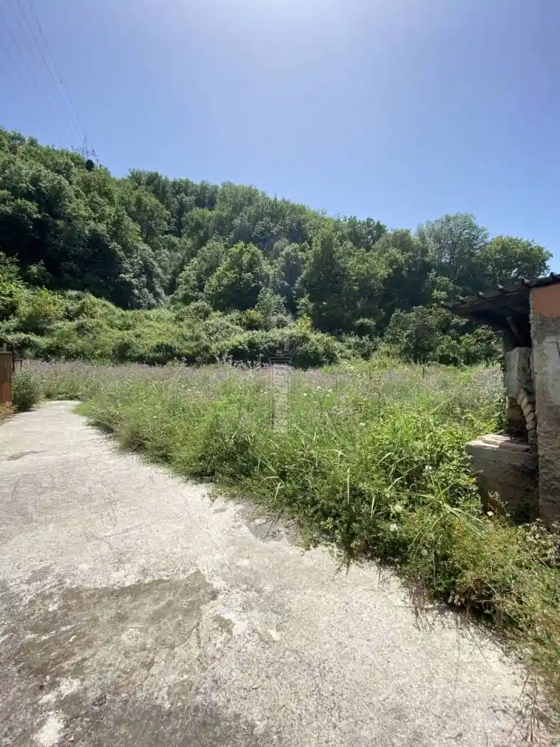 Rustico - Casale in vendita a Saponara