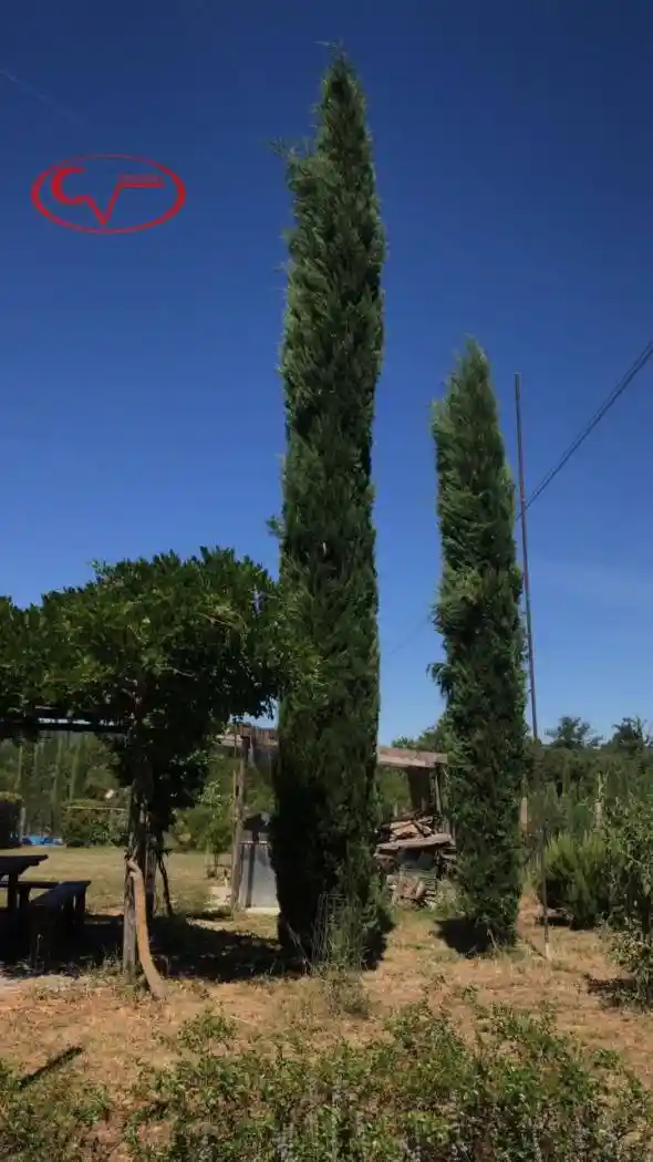 Villa in vendita a Bucine