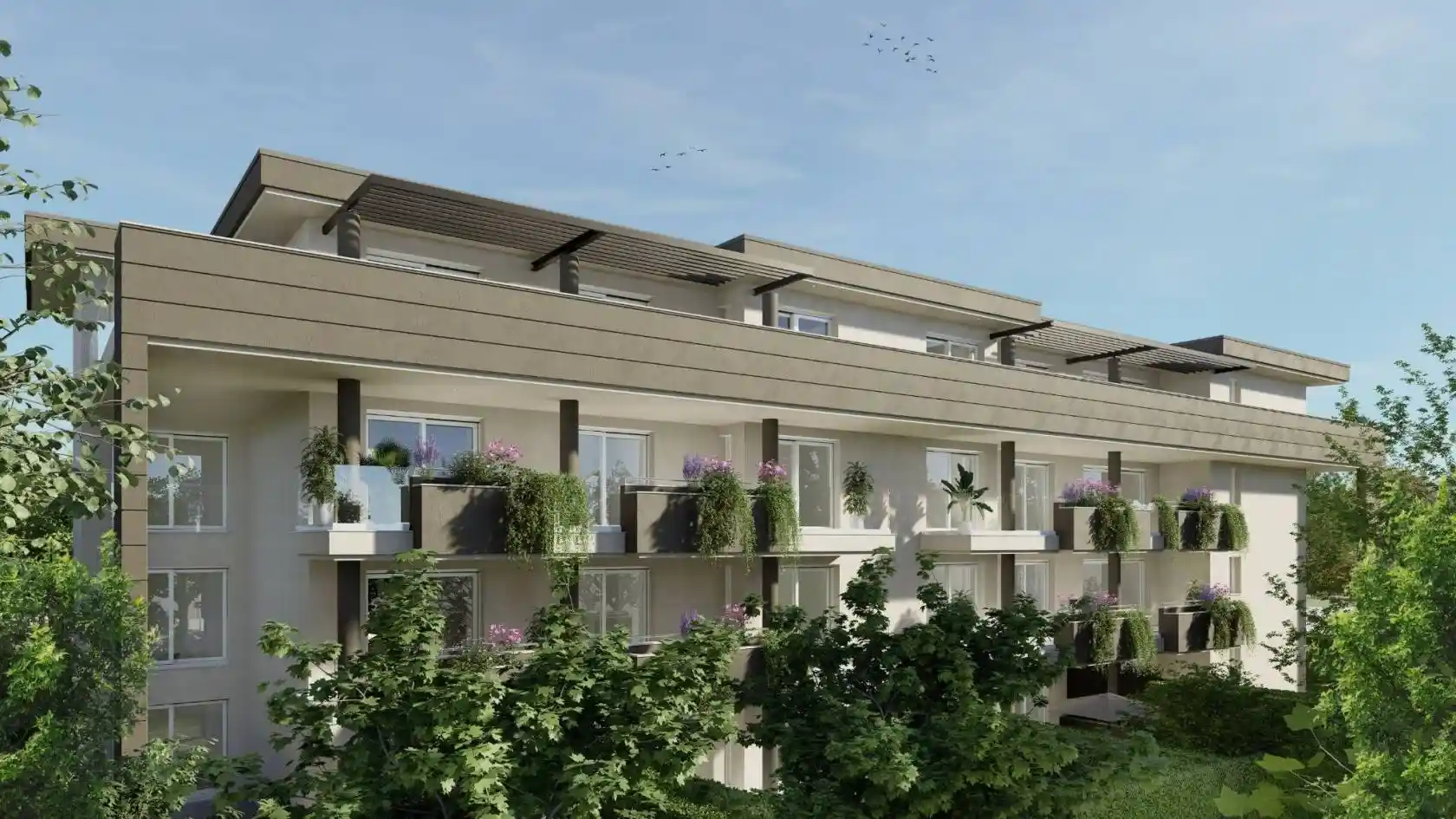 Progetto in vendita a Solaro