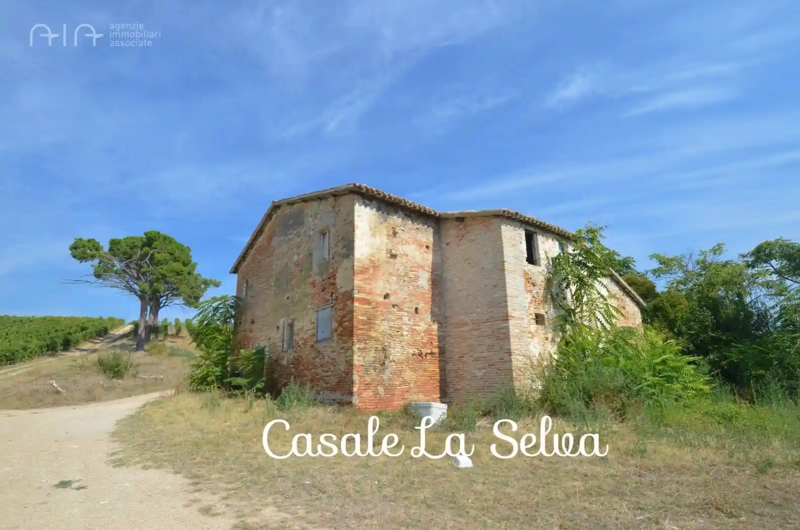 Rustico - Casale in vendita a Spinetoli