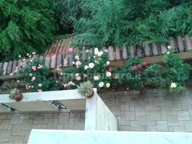 Appartamento via Roma 62, Centro, Celico - foto 3