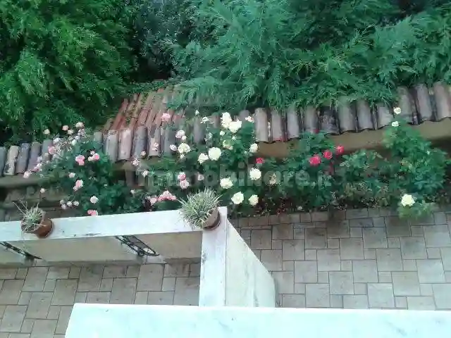 Appartamento via Roma 62, Centro, Celico - foto 4