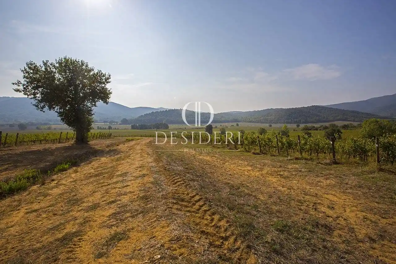 Rustico - Casale in vendita a Gavorrano