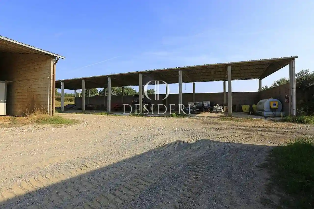 Rustico - Casale - foto 3