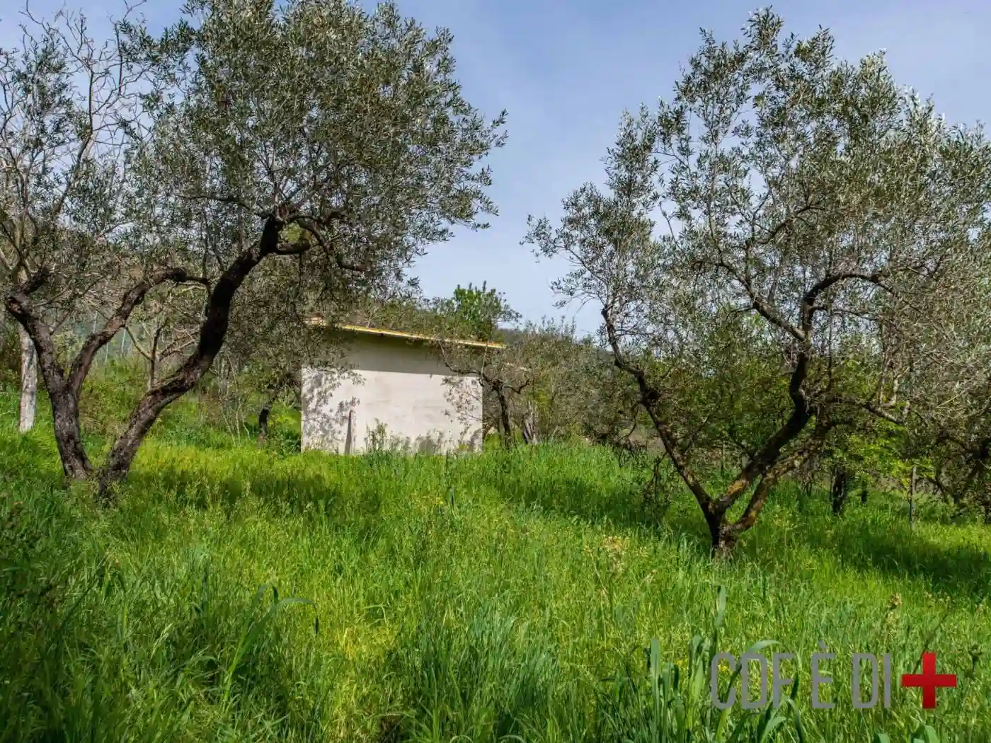 Rustico - Casale - foto 5