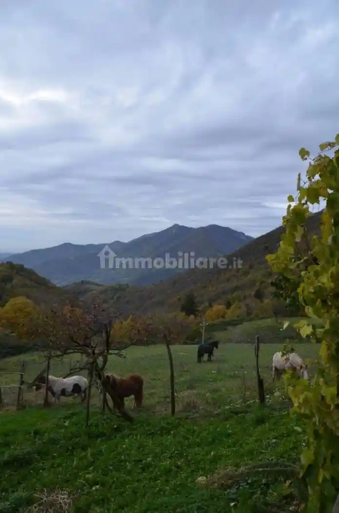 Rustico - Casale in vendita a Grone