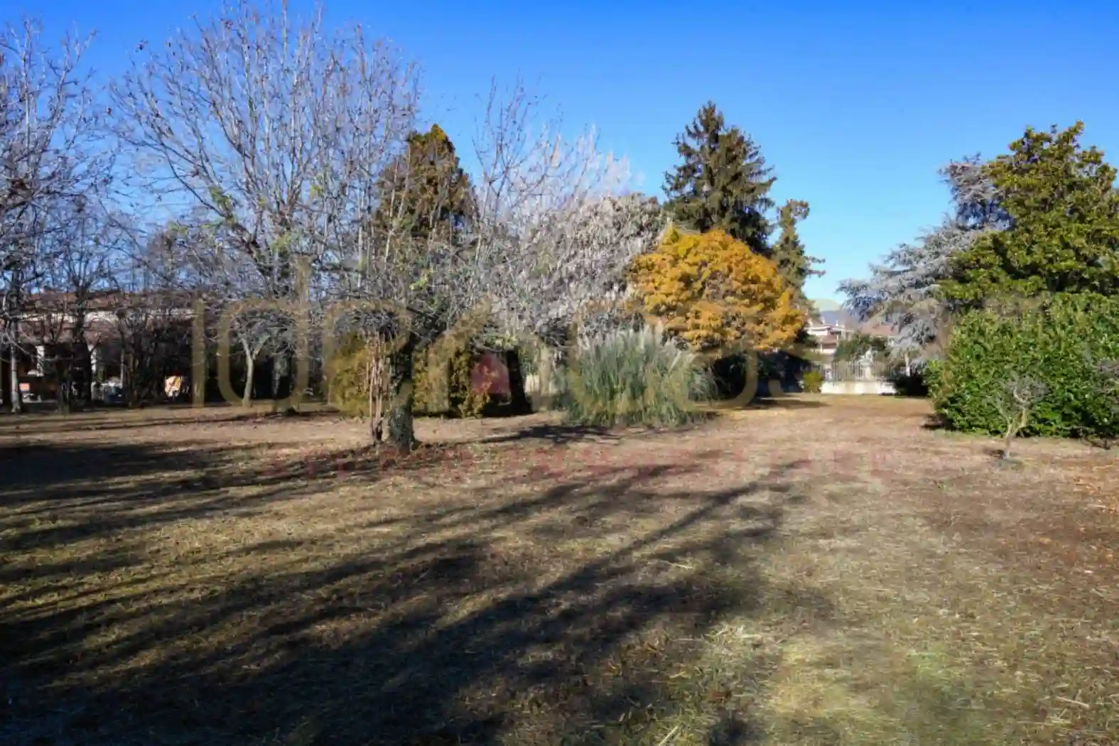 Palazzo - Edificio - foto 4