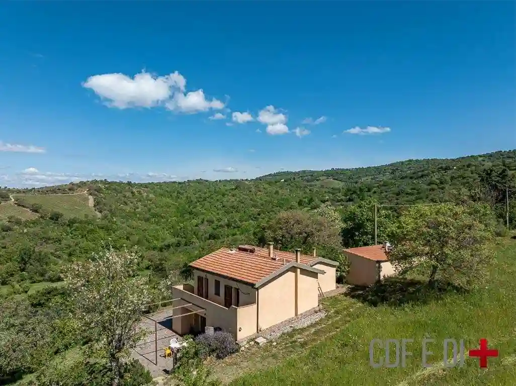 Rustico - Casale - foto 3