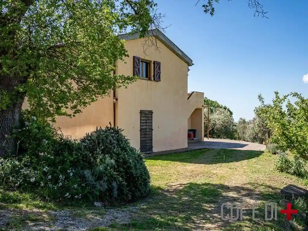 Rustico - Casale - foto 5