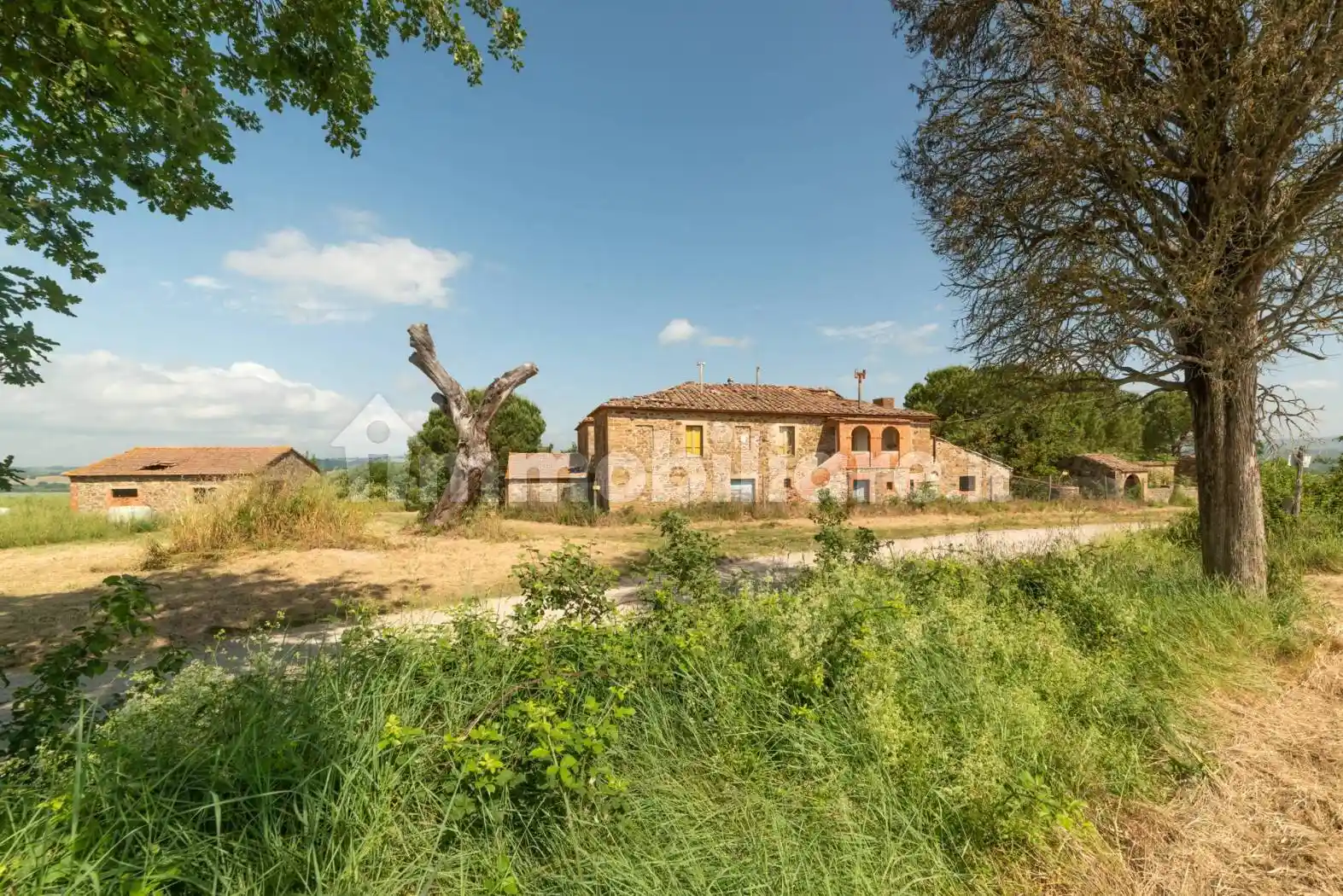 Rustico - Casale in vendita a Cinigiano