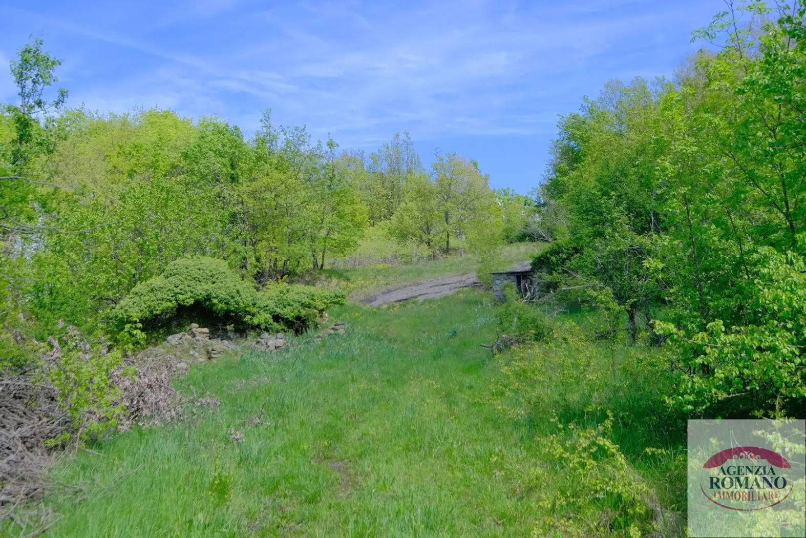 Rustico - Casale in vendita a Giusvalla