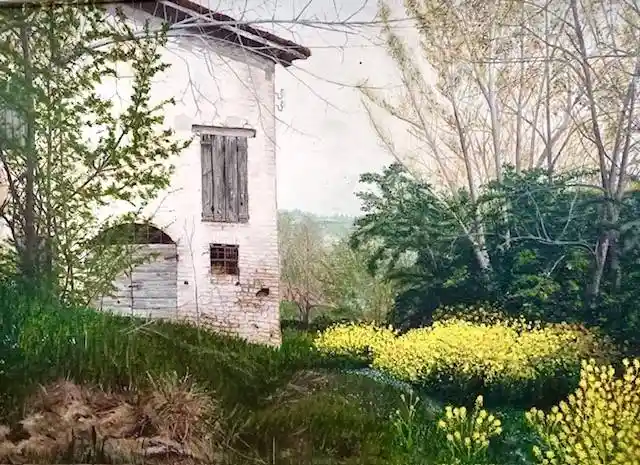 Rustico - Casale in vendita a Castelvetro di Modena