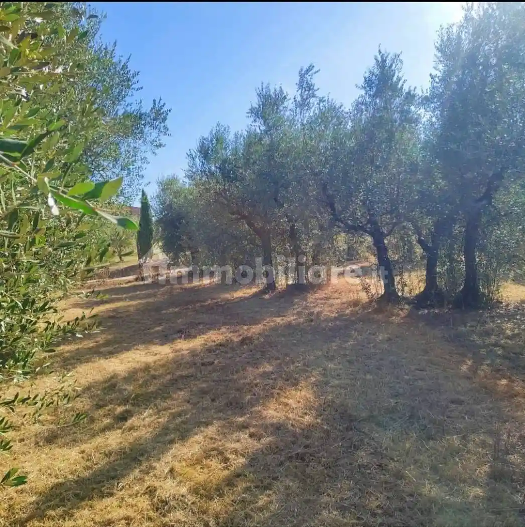 Casa indipendente in vendita a Vinci