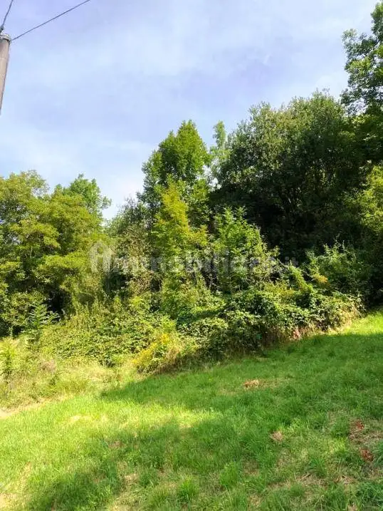 Cascina via Calverola, Algua - foto 2