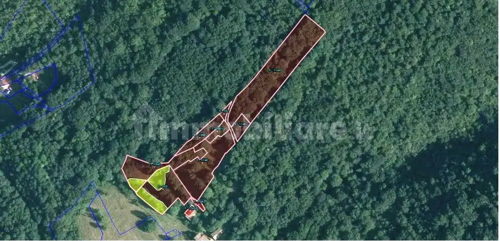 Cascina via Calverola, Algua - foto 4