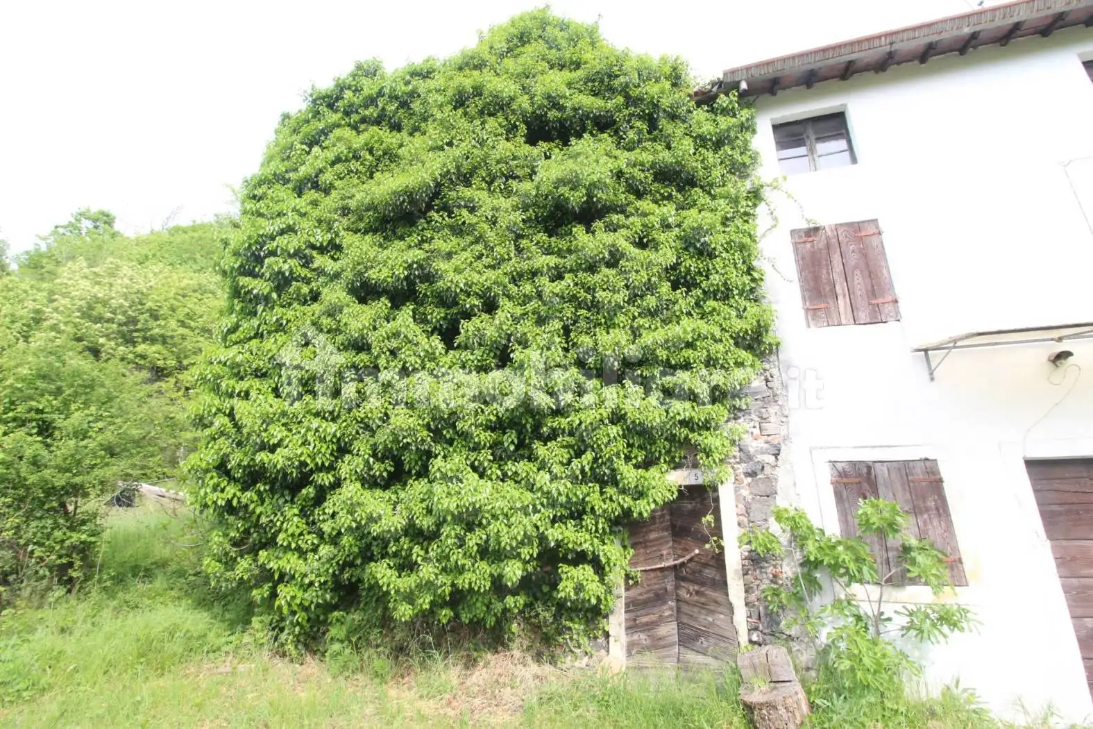 Rustico - Casale in vendita a Roncà