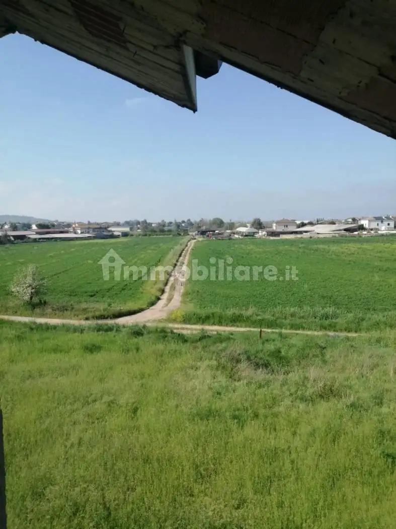 Casale via Bisceglie, Matinella, Albanella - foto 2