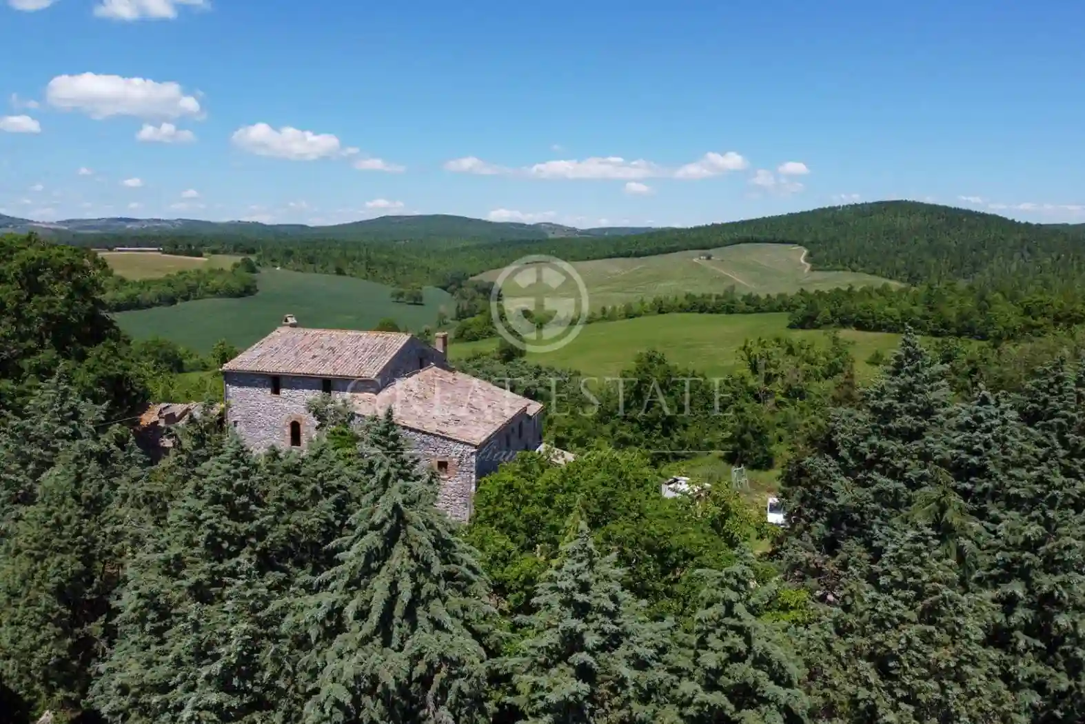 Palazzo - Edificio - foto 2