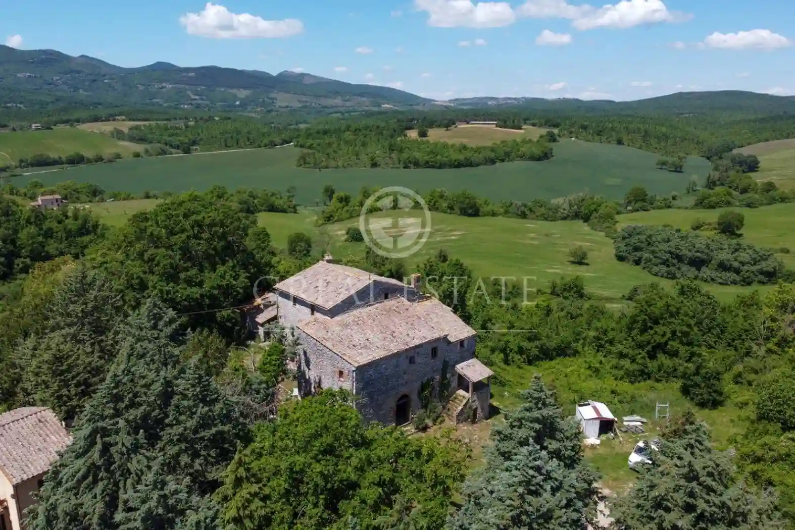 Palazzo - Edificio - foto 4