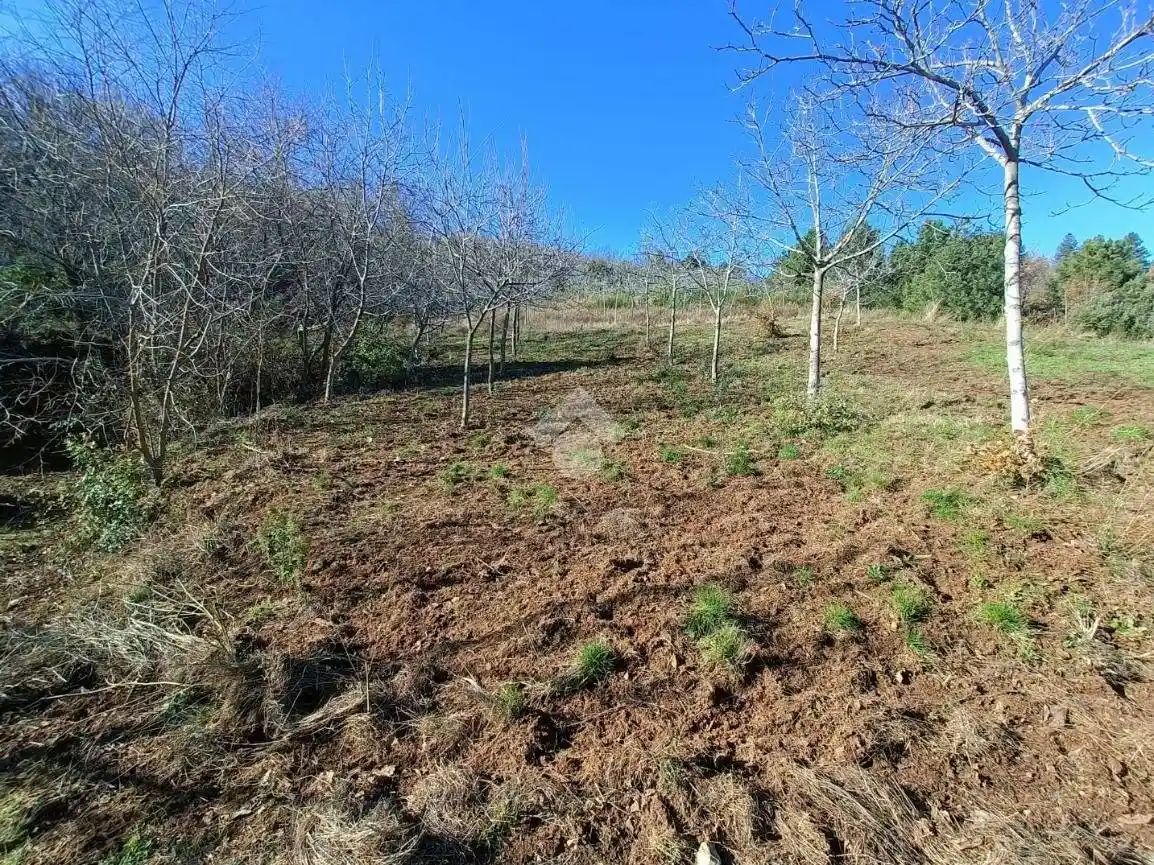 Villa unifamiliare Contrada Guglielmo 162, Acri - foto 4