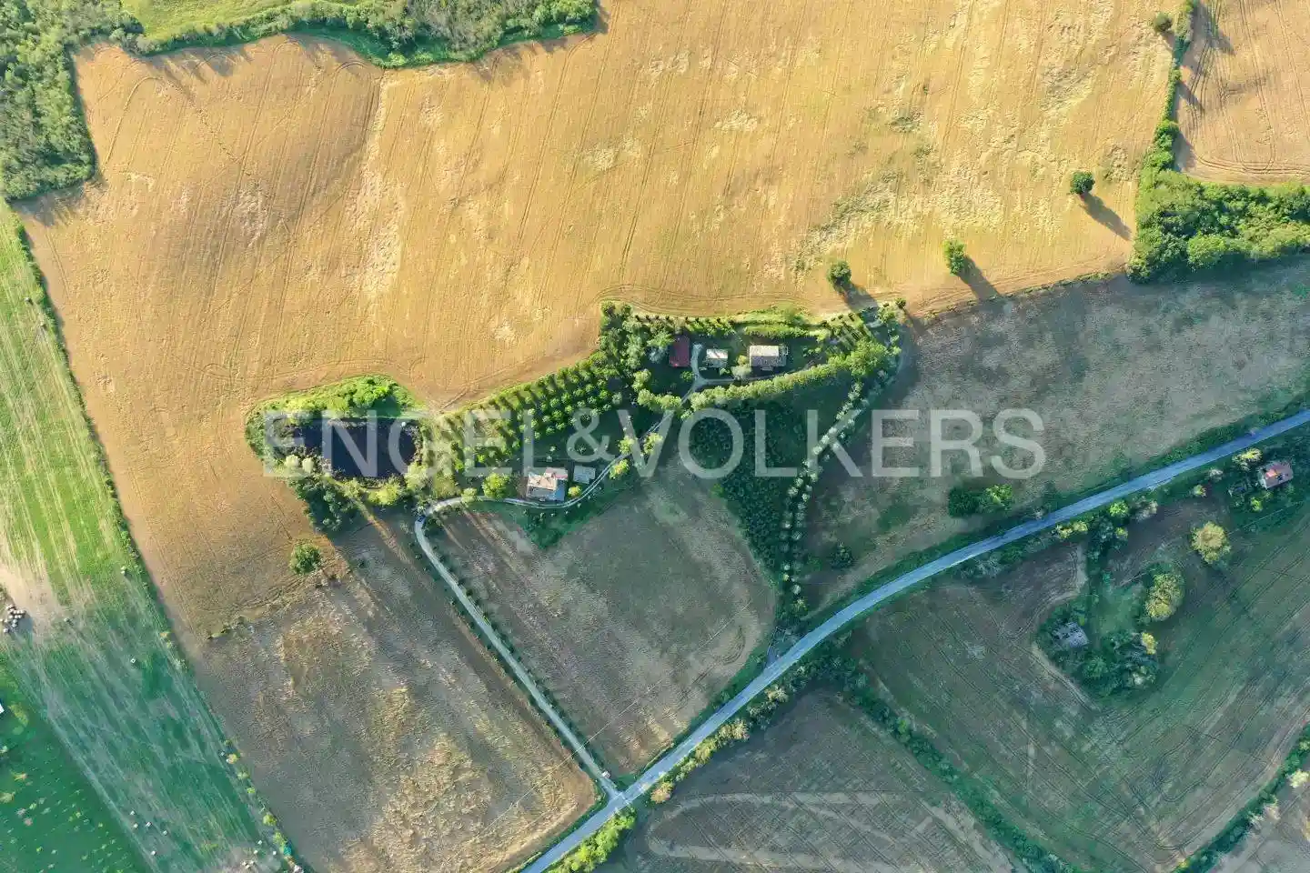 Rustico - Casale - foto 3