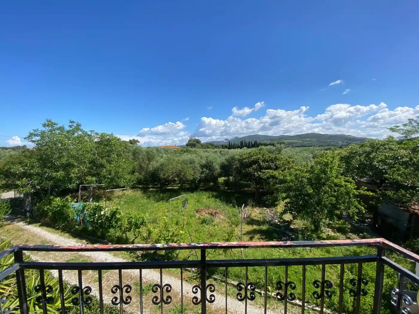 Rustico - Casale in vendita a Campiglia Marittima