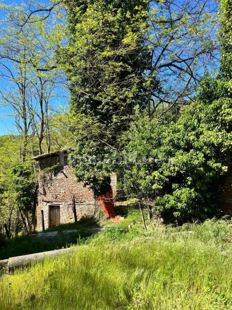 Rustico - Casale in vendita a Medesano