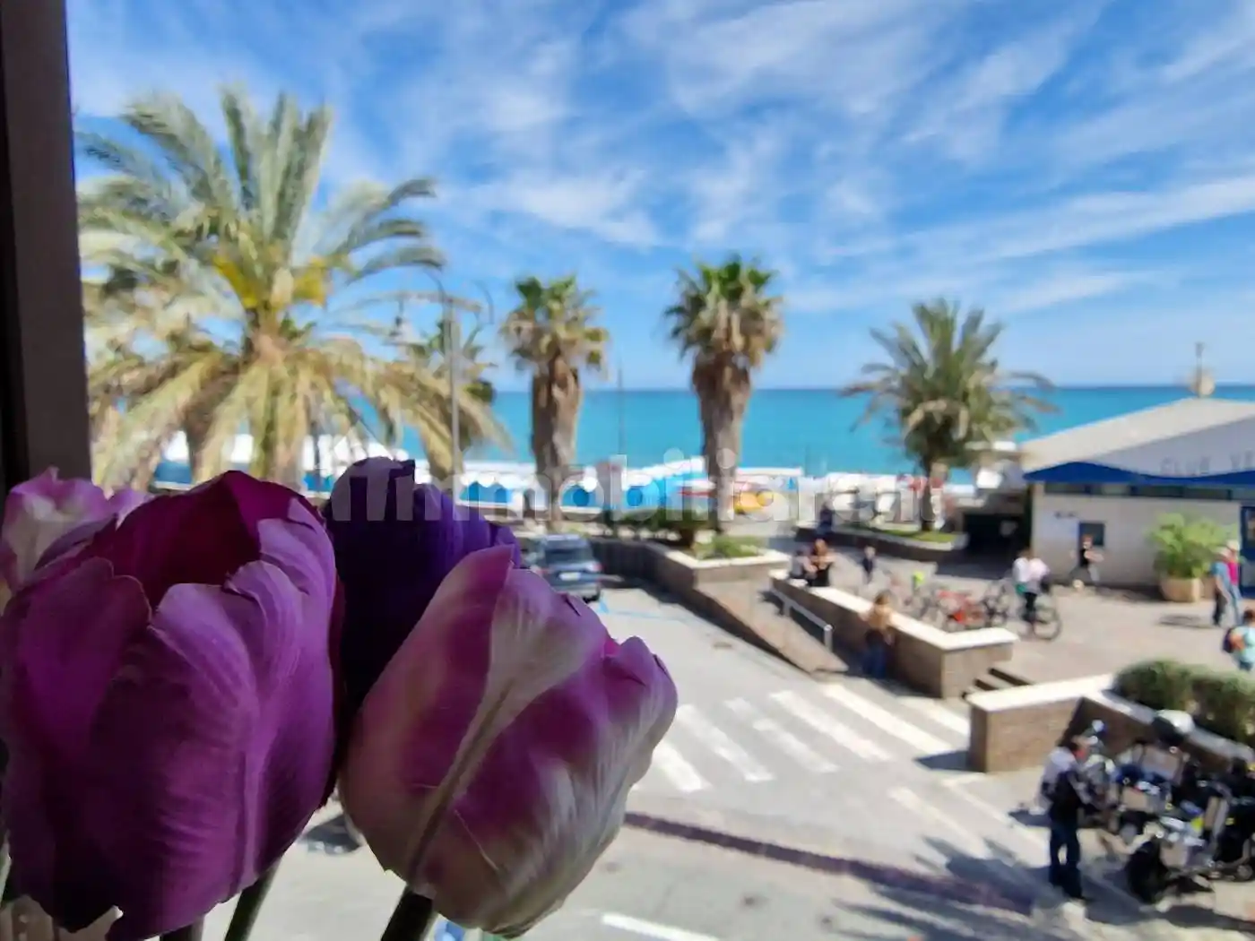 Appartamento in vendita a Cogoleto