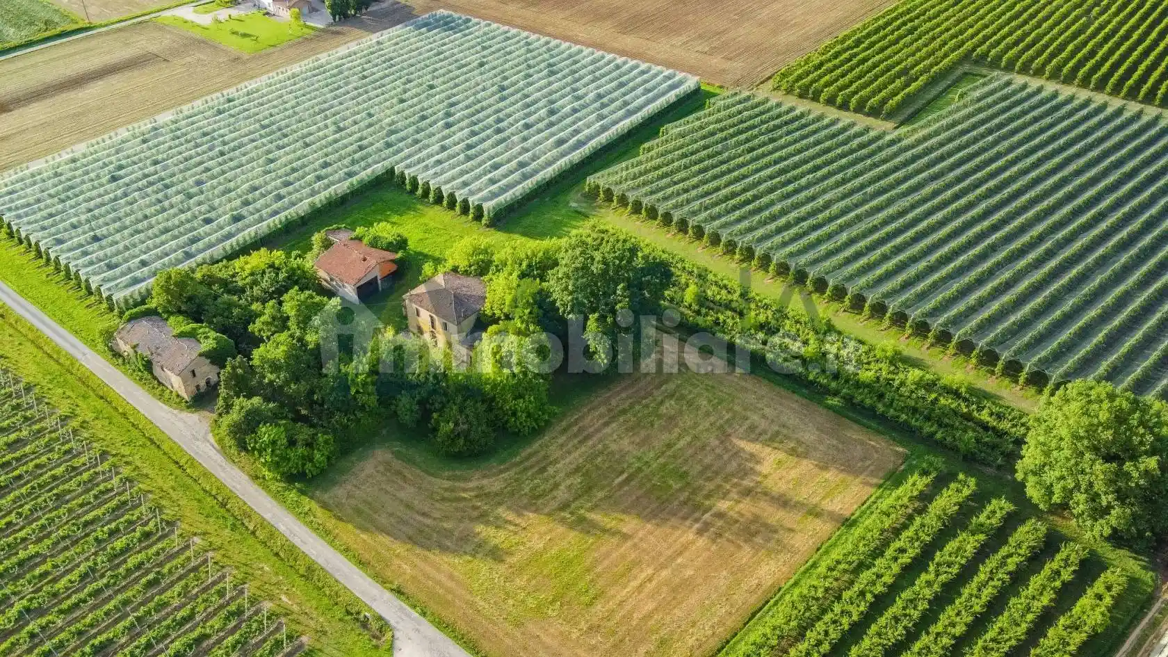Rustico - Casale in vendita a Faenza