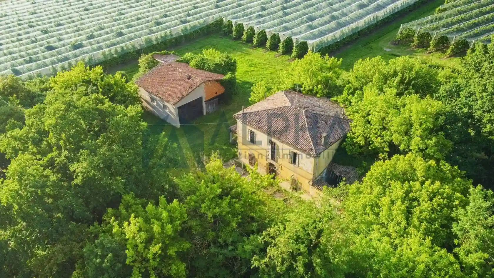 Rustico - Casale - foto 5