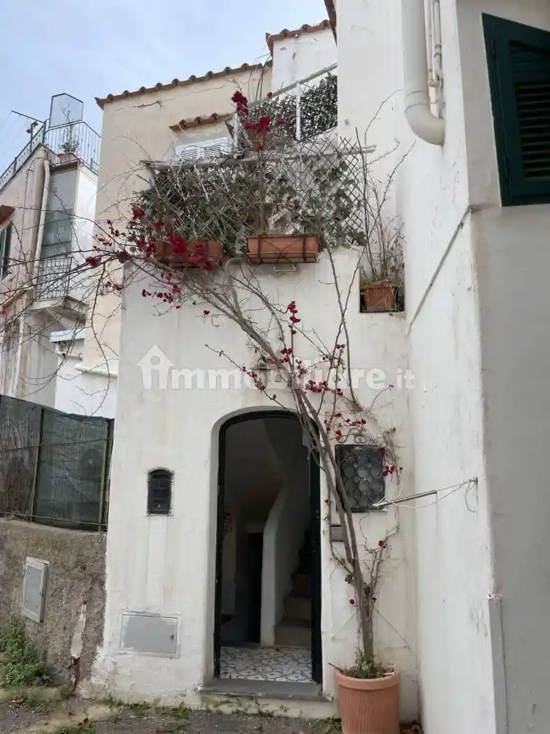 Appartamento in affitto a Ischia