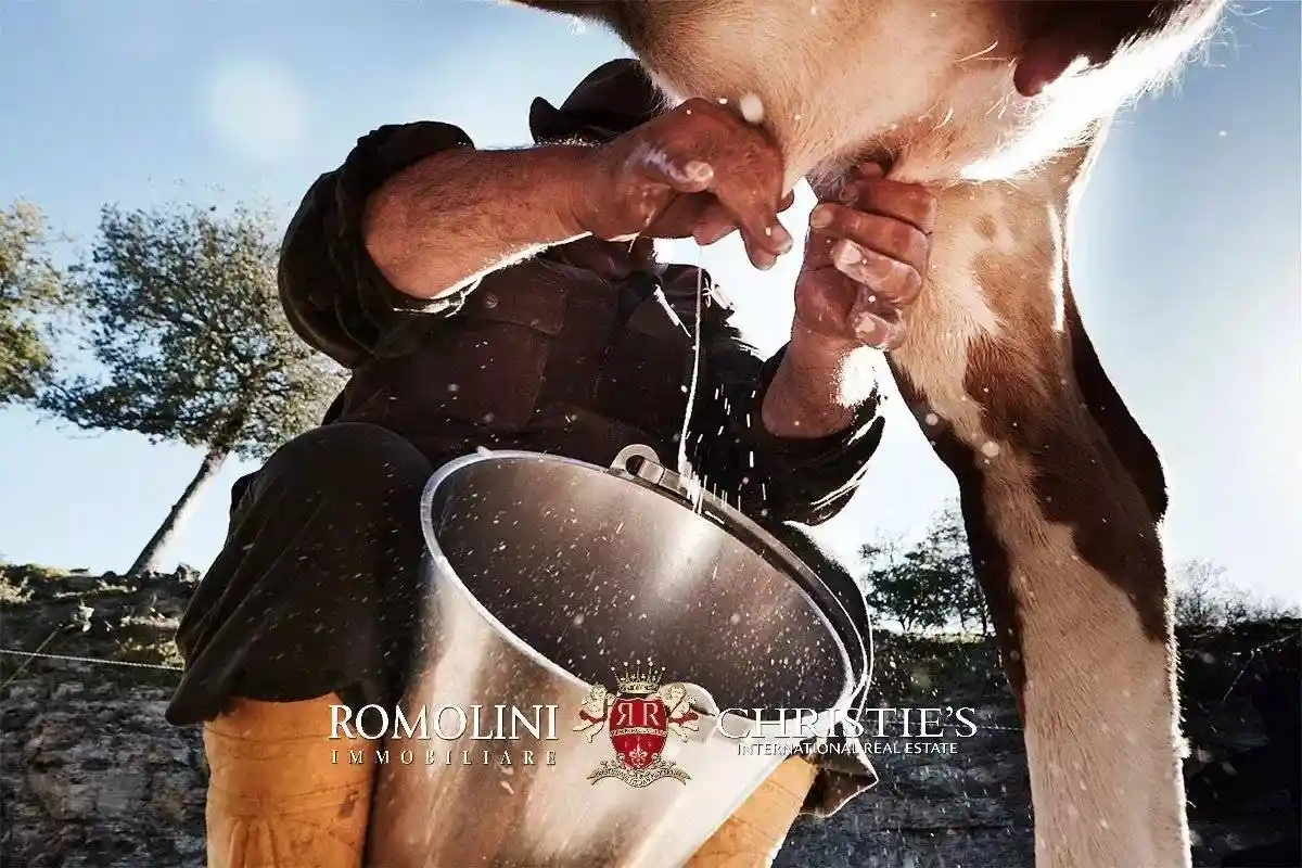 Villa in vendita a Loro Ciuffenna