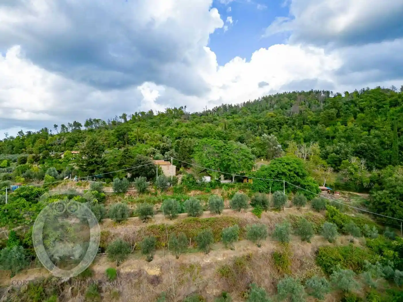 Rustico - Casale in vendita a Castiglion Fiorentino