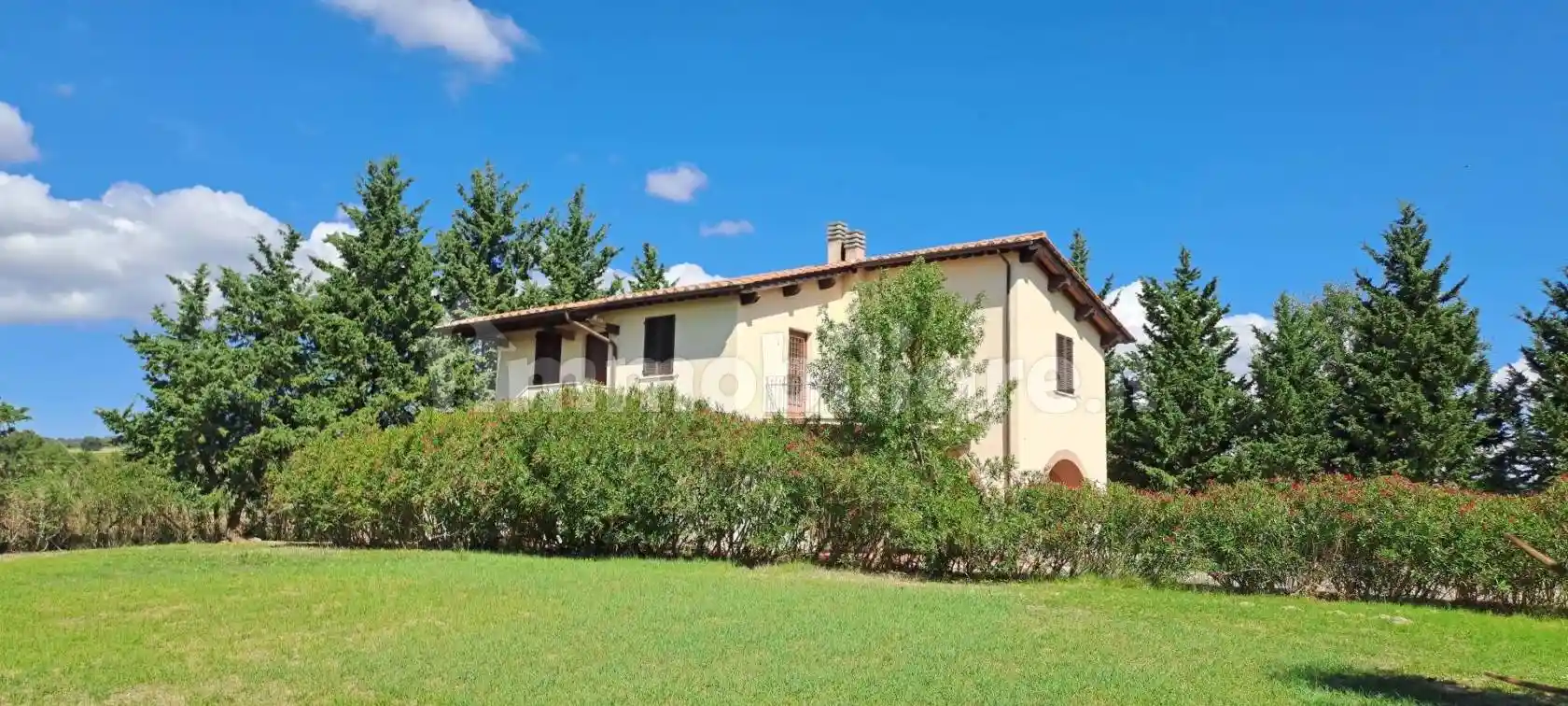 Rustico - Casale in vendita a Scansano