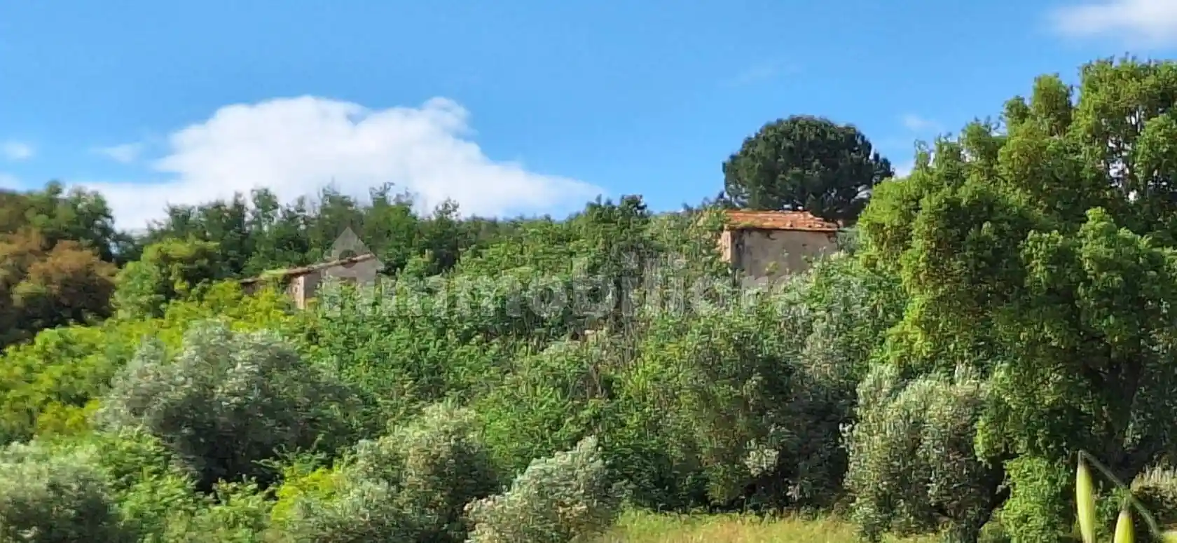 Rustico - Casale in vendita a Roccastrada