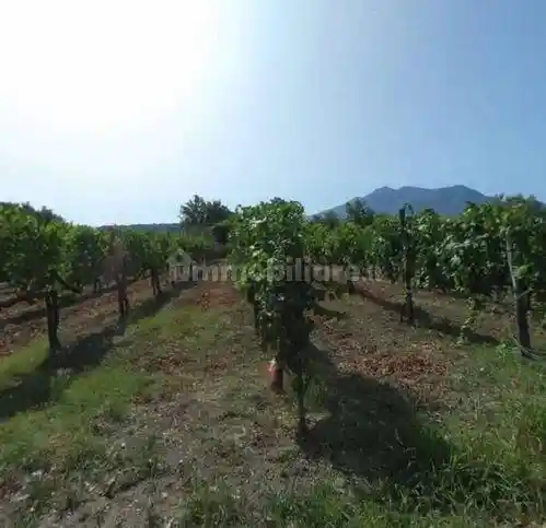 Casa indipendente in vendita a Montemiletto