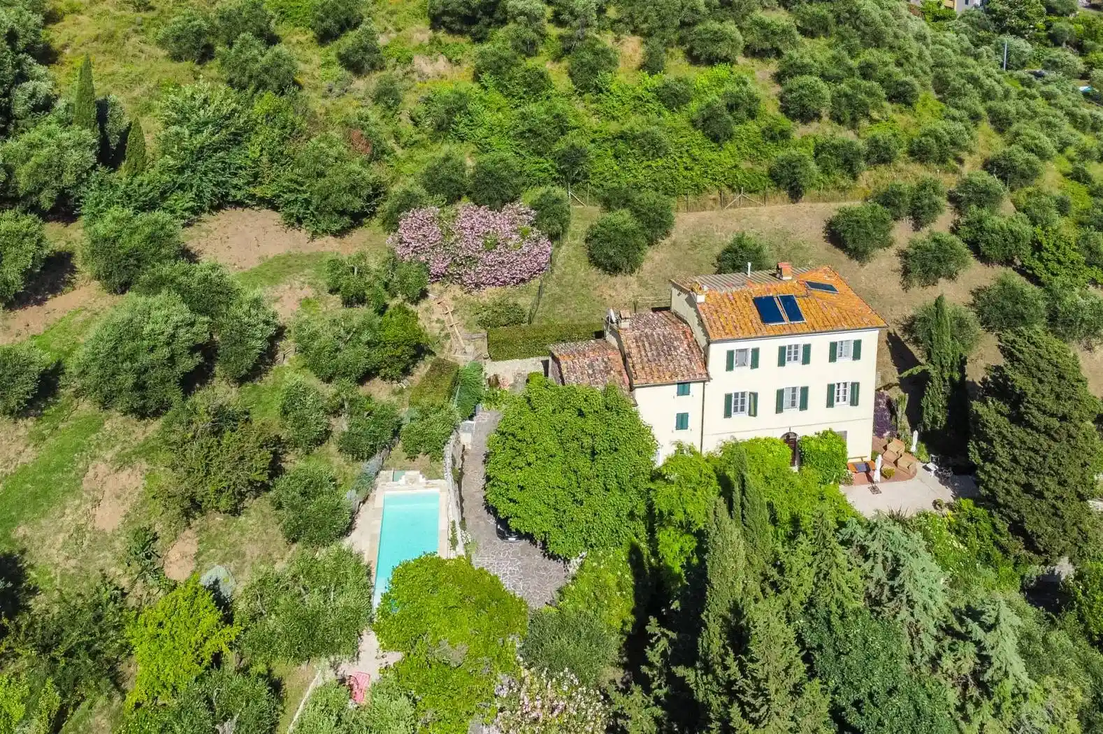 Rustico - Casale in vendita a Massarosa